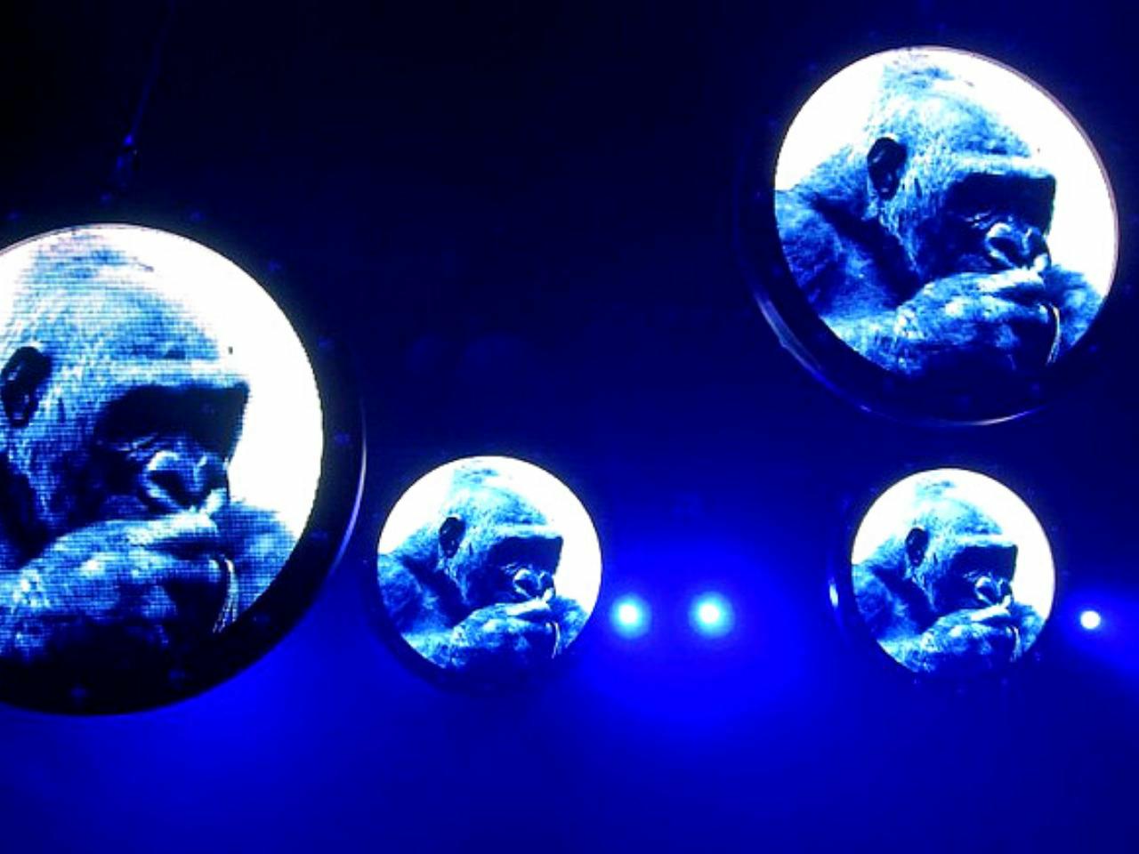 DIE FANTASTISCHEN VIER 2007