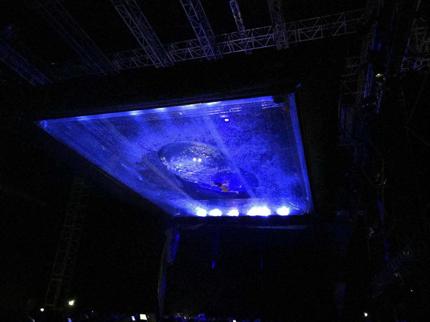 FUERZA BRUTA 2017